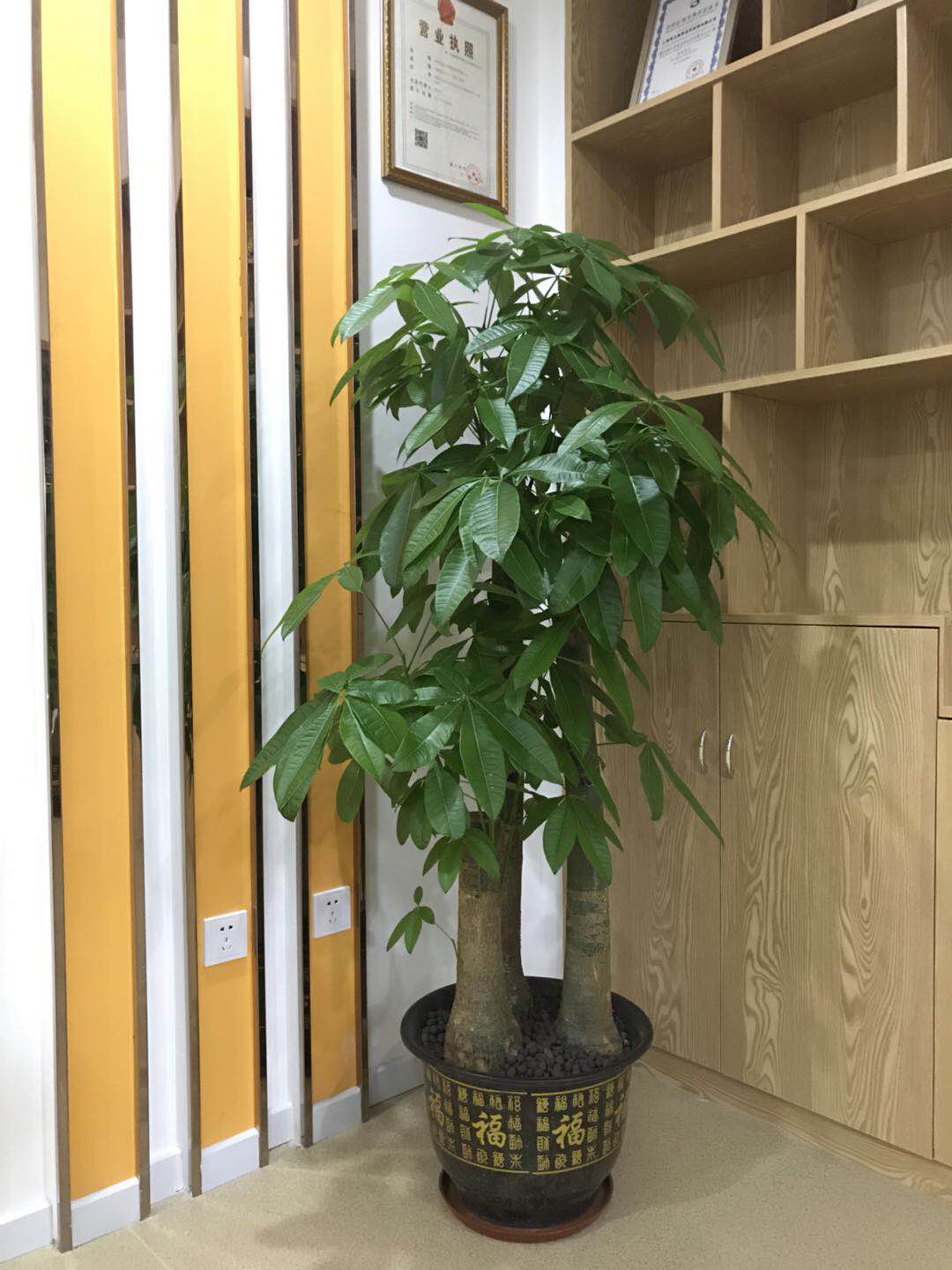 创·工装 | 超赞，这才是小朋友的培训学校，清新又环保！