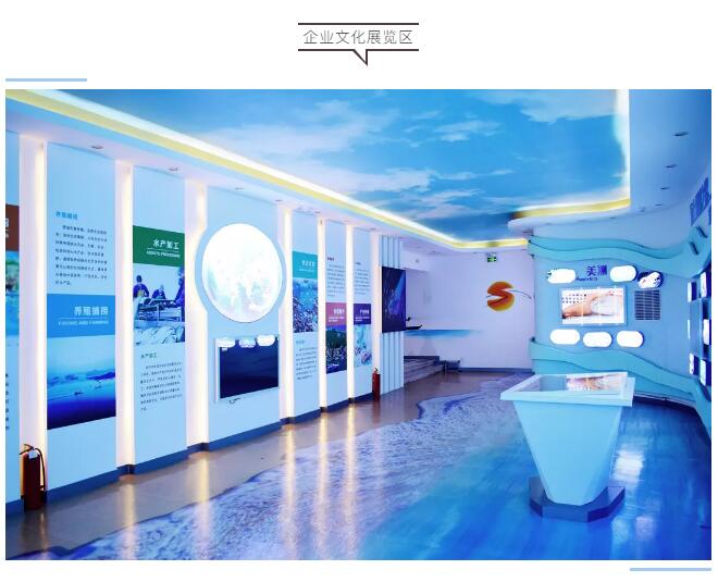 百创精品项目 | 中国第一家世界海洋经济鱼类展览馆—环球渔网展览馆